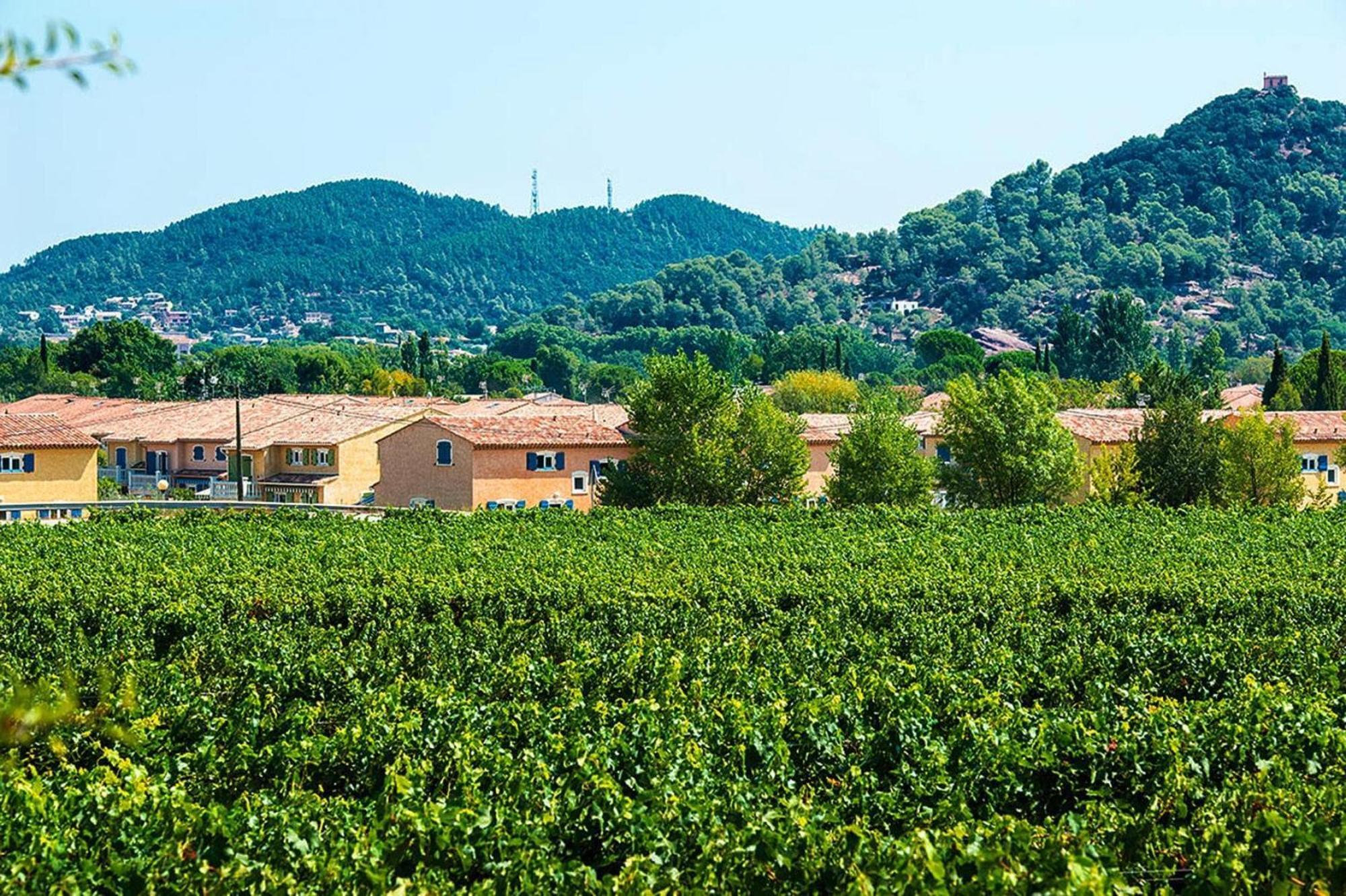 Terraced House With Air Conditioning In The Residence Le Clos Des Oliviers Vidauban Exterior photo